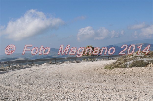 DSC_1698.JPG
